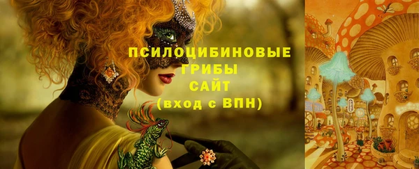 МДПВ Абдулино