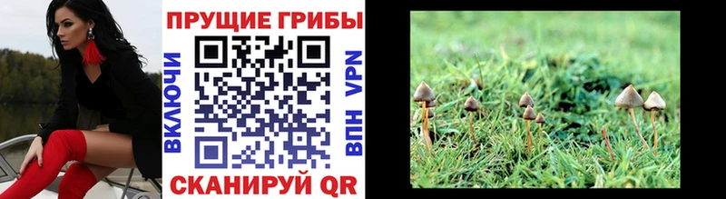 где найти   Белоусово  Галлюциногенные грибы ЛСД 